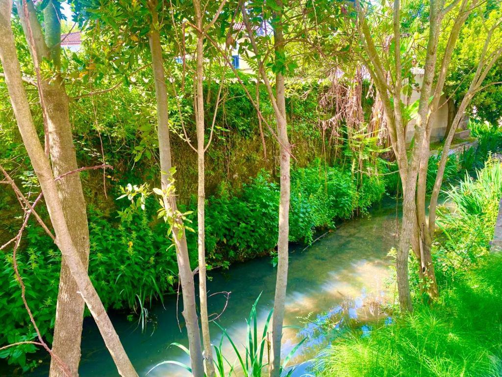 דירות Canet  Domaine D'Ella Jourre מראה חיצוני תמונה